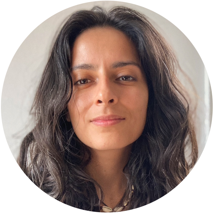 Alix (Atefeh) Metanat, LMSW